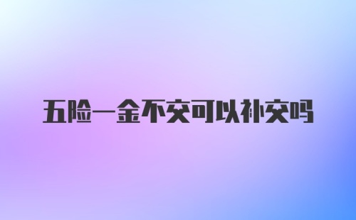 五险一金不交可以补交吗