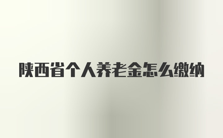 陕西省个人养老金怎么缴纳