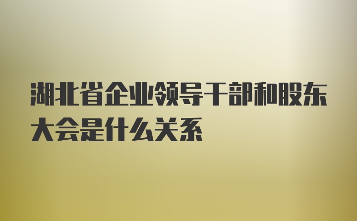 湖北省企业领导干部和股东大会是什么关系