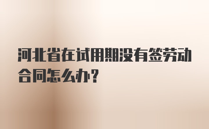 河北省在试用期没有签劳动合同怎么办？