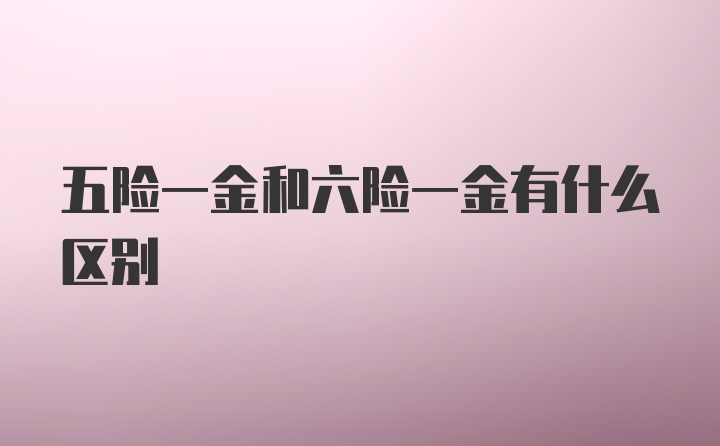 五险一金和六险一金有什么区别