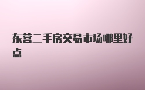 东营二手房交易市场哪里好点