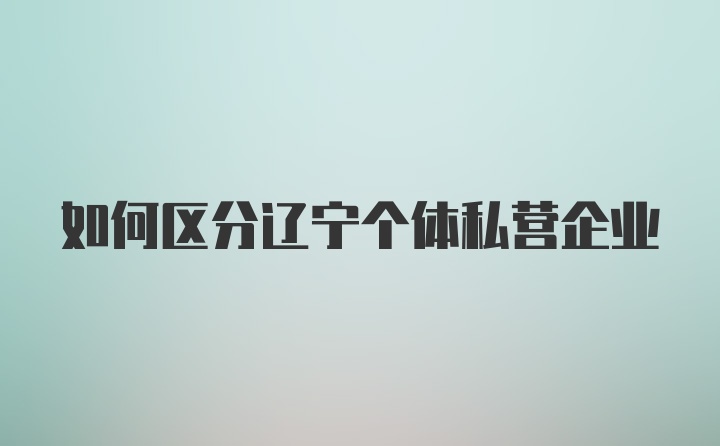 如何区分辽宁个体私营企业