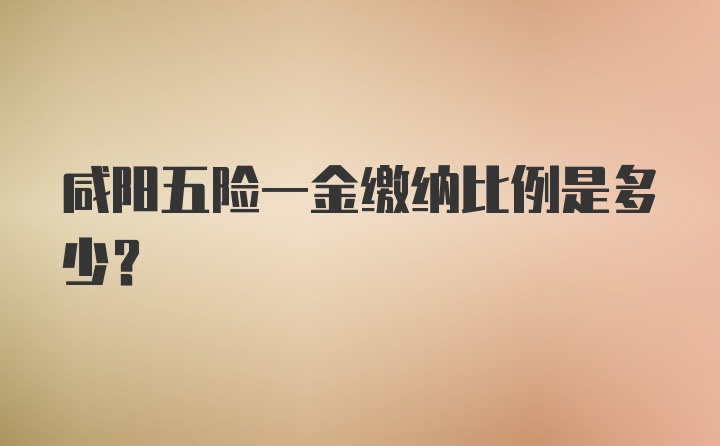 咸阳五险一金缴纳比例是多少？