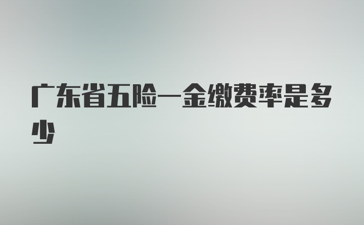 广东省五险一金缴费率是多少