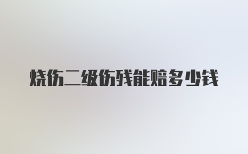 烧伤二级伤残能赔多少钱