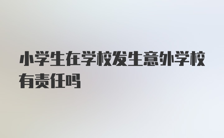 小学生在学校发生意外学校有责任吗