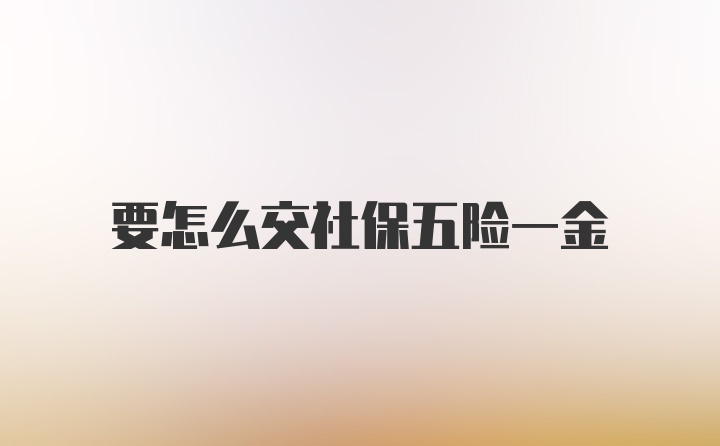 要怎么交社保五险一金