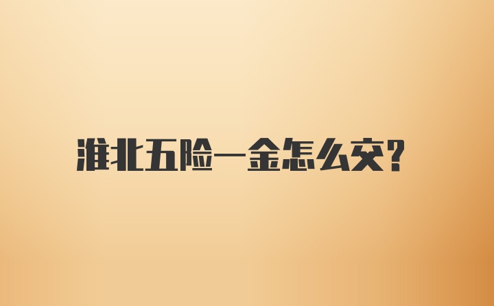 淮北五险一金怎么交？