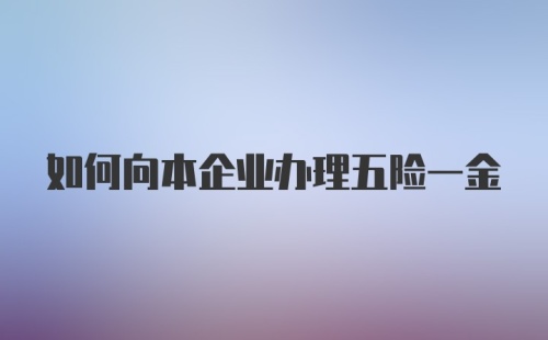 如何向本企业办理五险一金