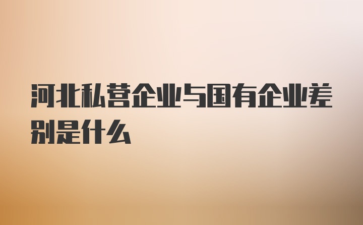 河北私营企业与国有企业差别是什么