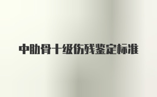 中肋骨十级伤残鉴定标准