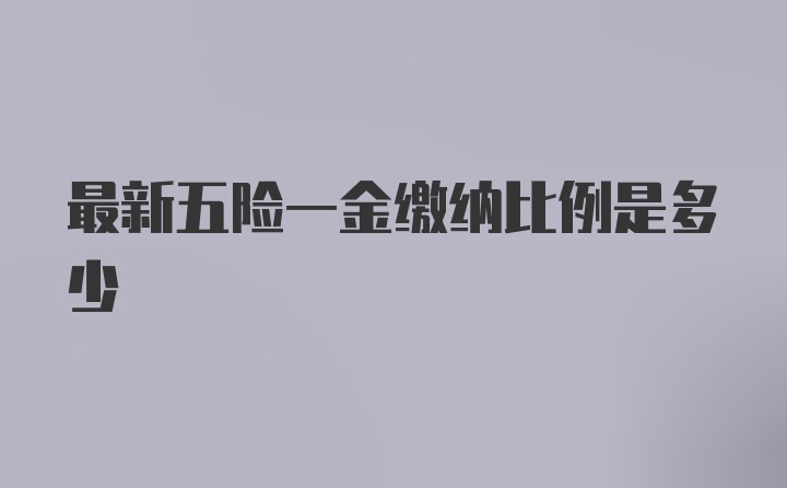 最新五险一金缴纳比例是多少