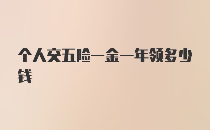 个人交五险一金一年领多少钱