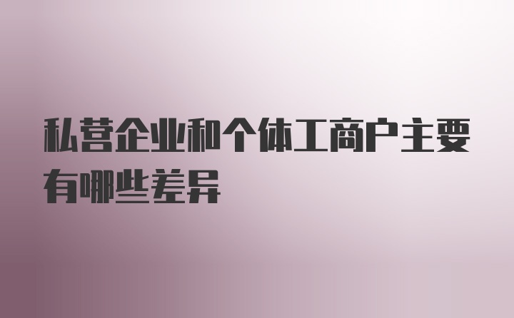 私营企业和个体工商户主要有哪些差异