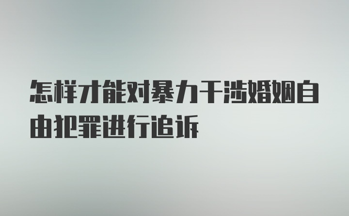 怎样才能对暴力干涉婚姻自由犯罪进行追诉