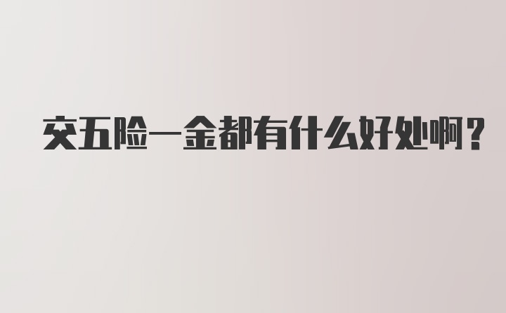 交五险一金都有什么好处啊？