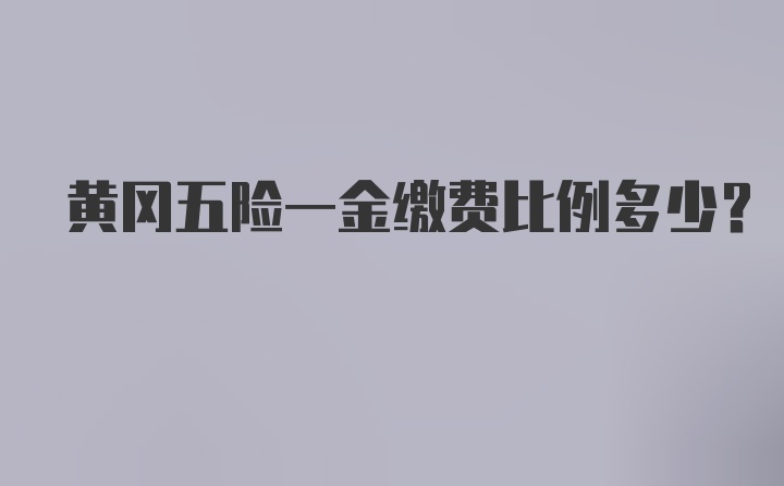 黄冈五险一金缴费比例多少？