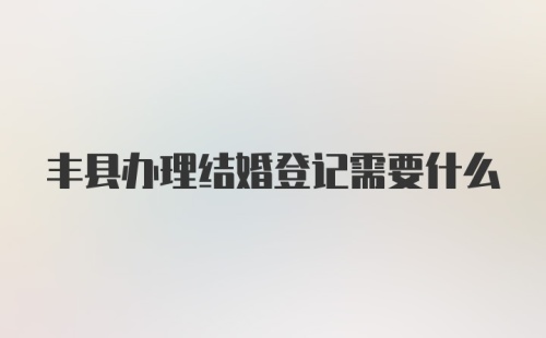 丰县办理结婚登记需要什么