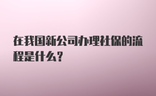 在我国新公司办理社保的流程是什么？