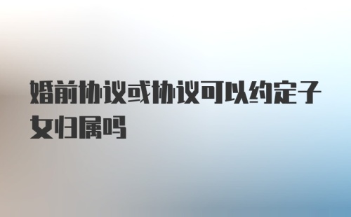 婚前协议或协议可以约定子女归属吗