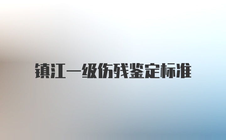 镇江一级伤残鉴定标准