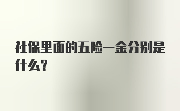 社保里面的五险一金分别是什么？