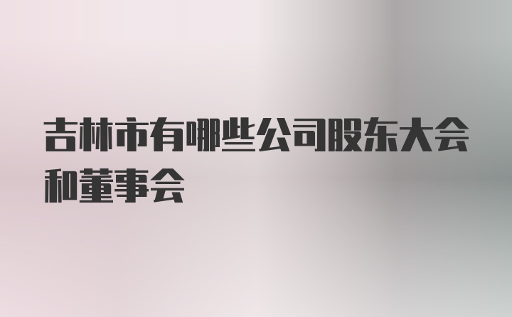 吉林市有哪些公司股东大会和董事会