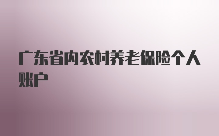 广东省内农村养老保险个人账户