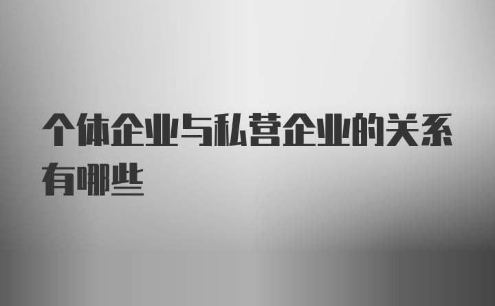 个体企业与私营企业的关系有哪些