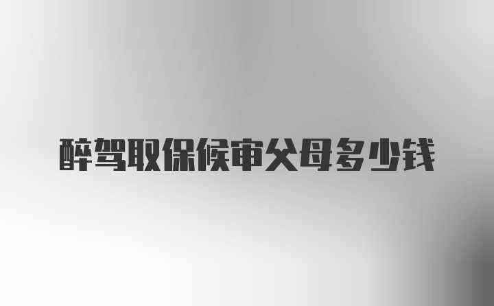 醉驾取保候审父母多少钱