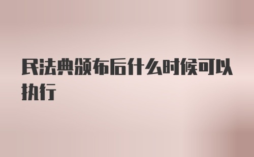 民法典颁布后什么时候可以执行