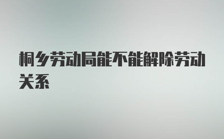 桐乡劳动局能不能解除劳动关系