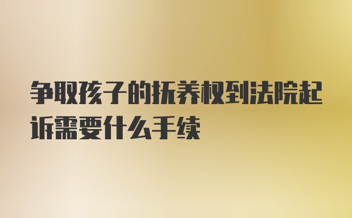 争取孩子的抚养权到法院起诉需要什么手续