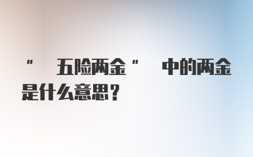 " 五险两金" 中的两金是什么意思?