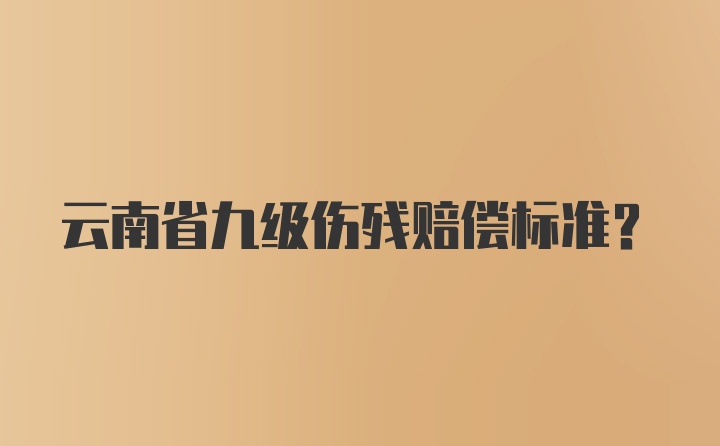 云南省九级伤残赔偿标准？