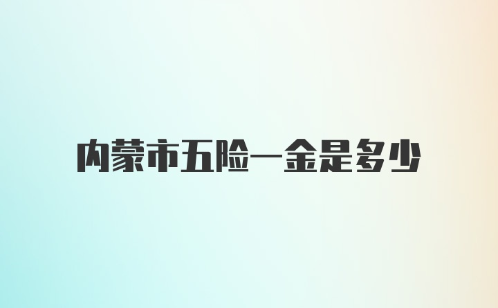 内蒙市五险一金是多少