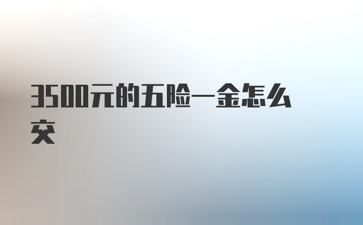 3500元的五险一金怎么交