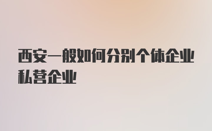 西安一般如何分别个体企业私营企业