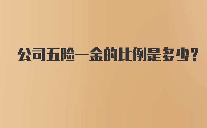 公司五险一金的比例是多少？