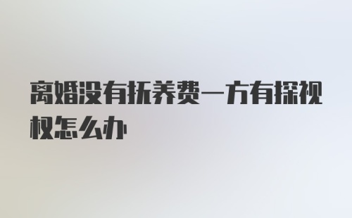 离婚没有抚养费一方有探视权怎么办