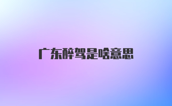 广东醉驾是啥意思