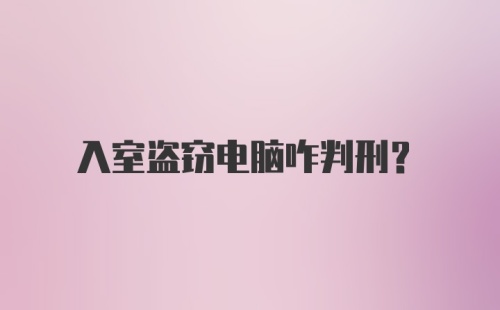 入室盗窃电脑咋判刑？