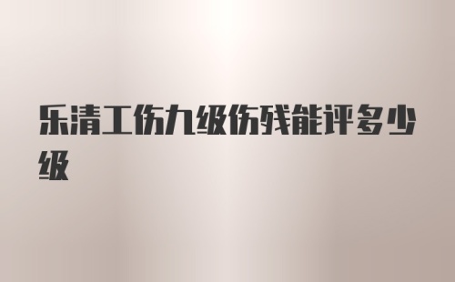 乐清工伤九级伤残能评多少级