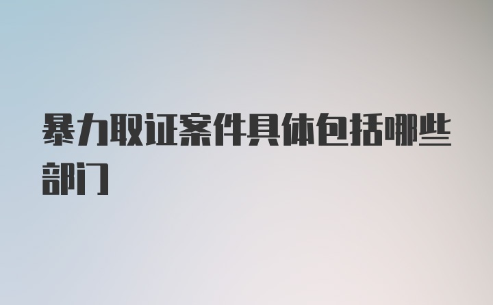 暴力取证案件具体包括哪些部门