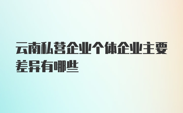 云南私营企业个体企业主要差异有哪些