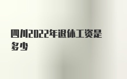 四川2022年退休工资是多少