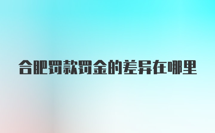 合肥罚款罚金的差异在哪里