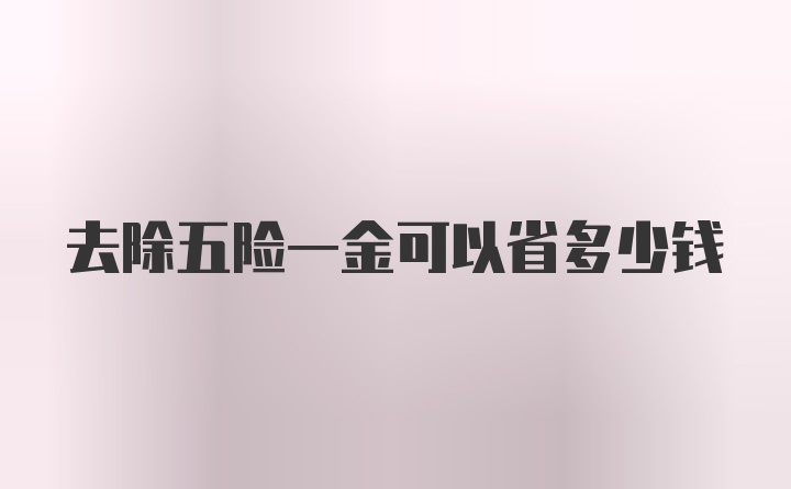 去除五险一金可以省多少钱