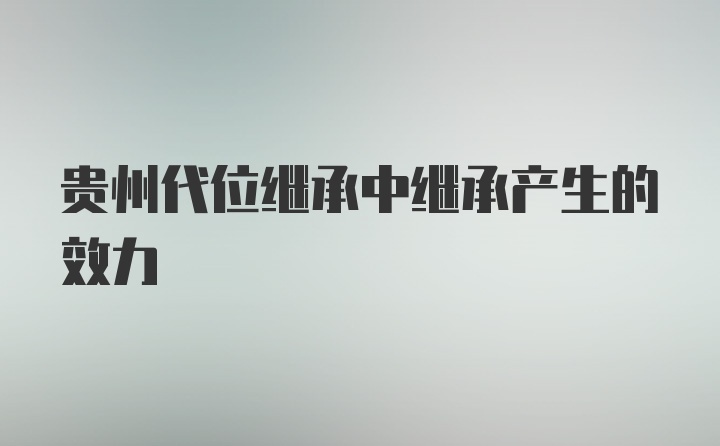 贵州代位继承中继承产生的效力